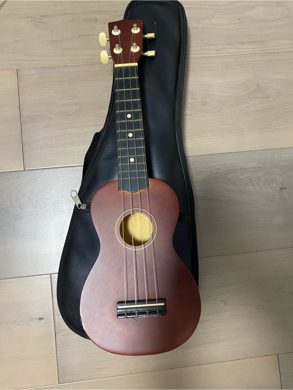 Brown Soprano Ukulele with Soft Case